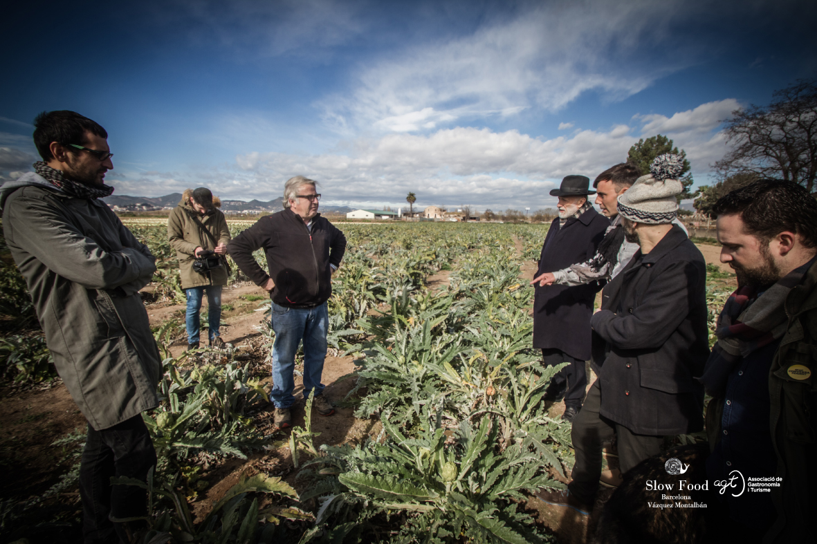 Visita Carlo Petrini Parc Agrari Baix Llobregat-Carxofa Prat 4